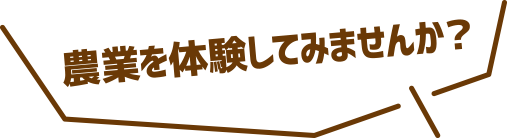 農業を体験してみませんか？